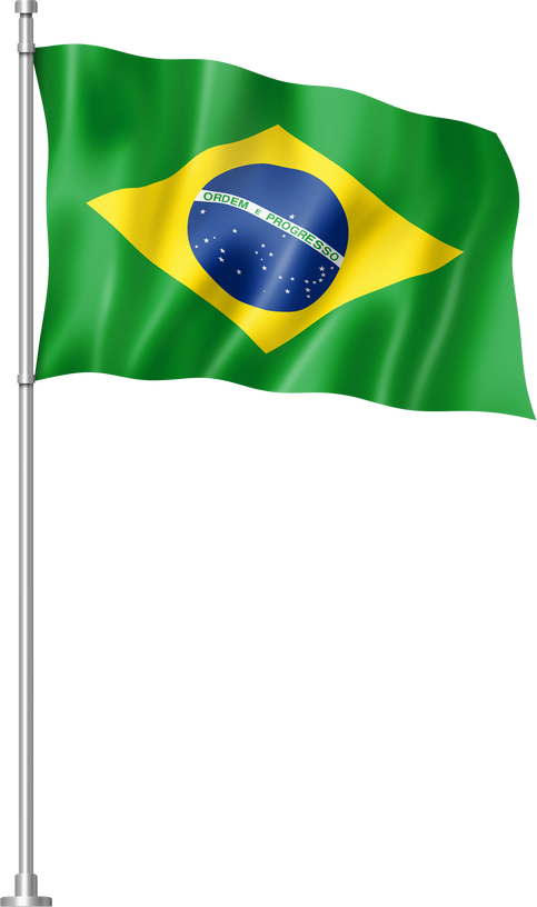 Brazilian flag isolated on white
